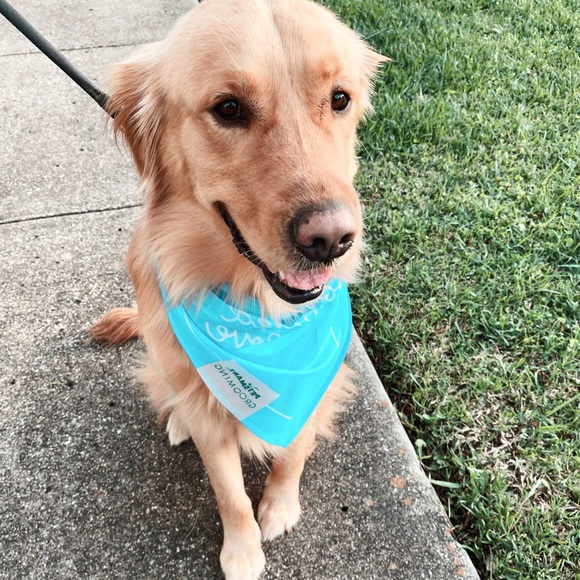 ✨ LIVE SHOW NOTIFICATION! ✨ - Picture 6 of 7